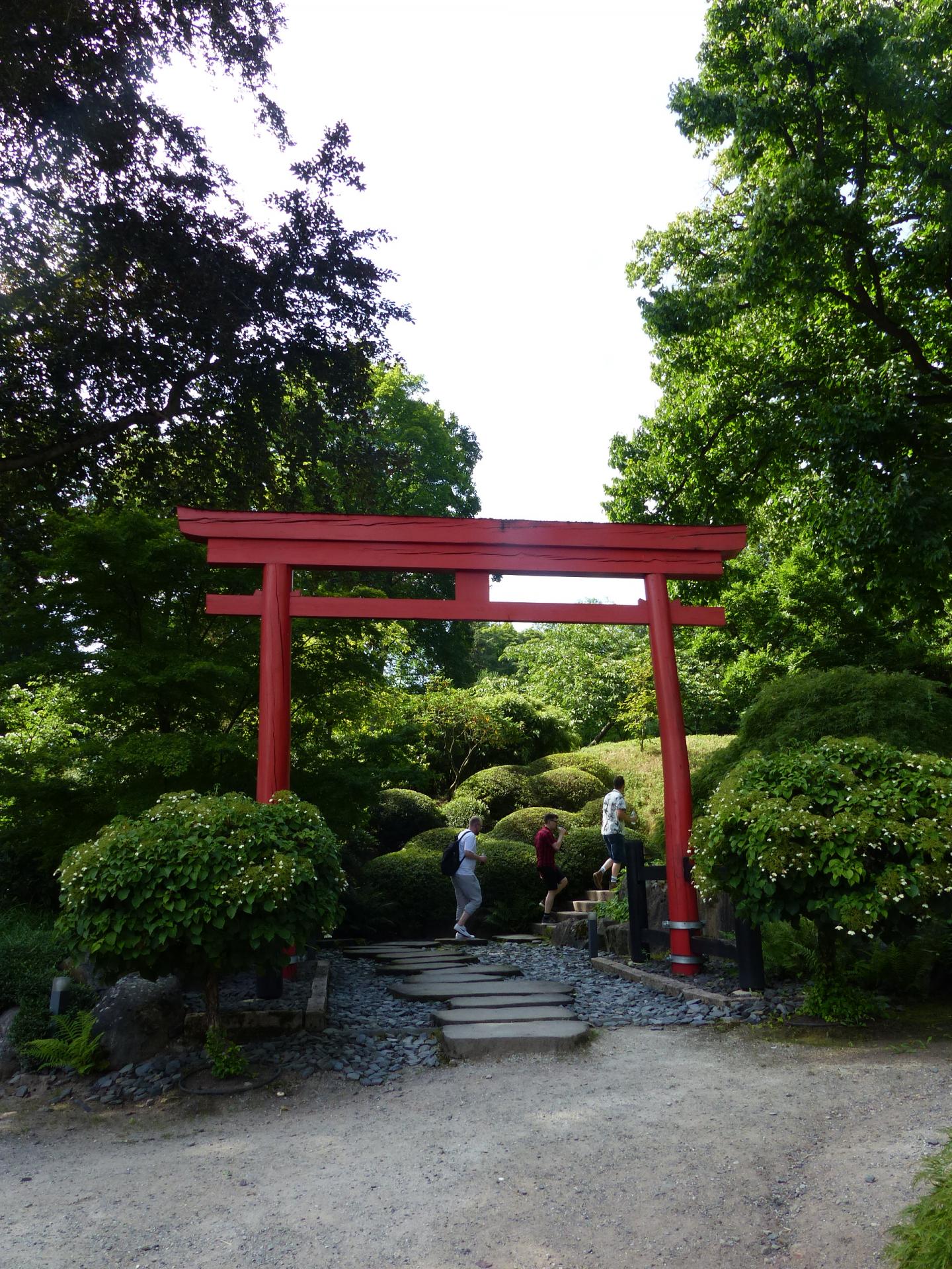 Jardin japonais kaiserslautern 127