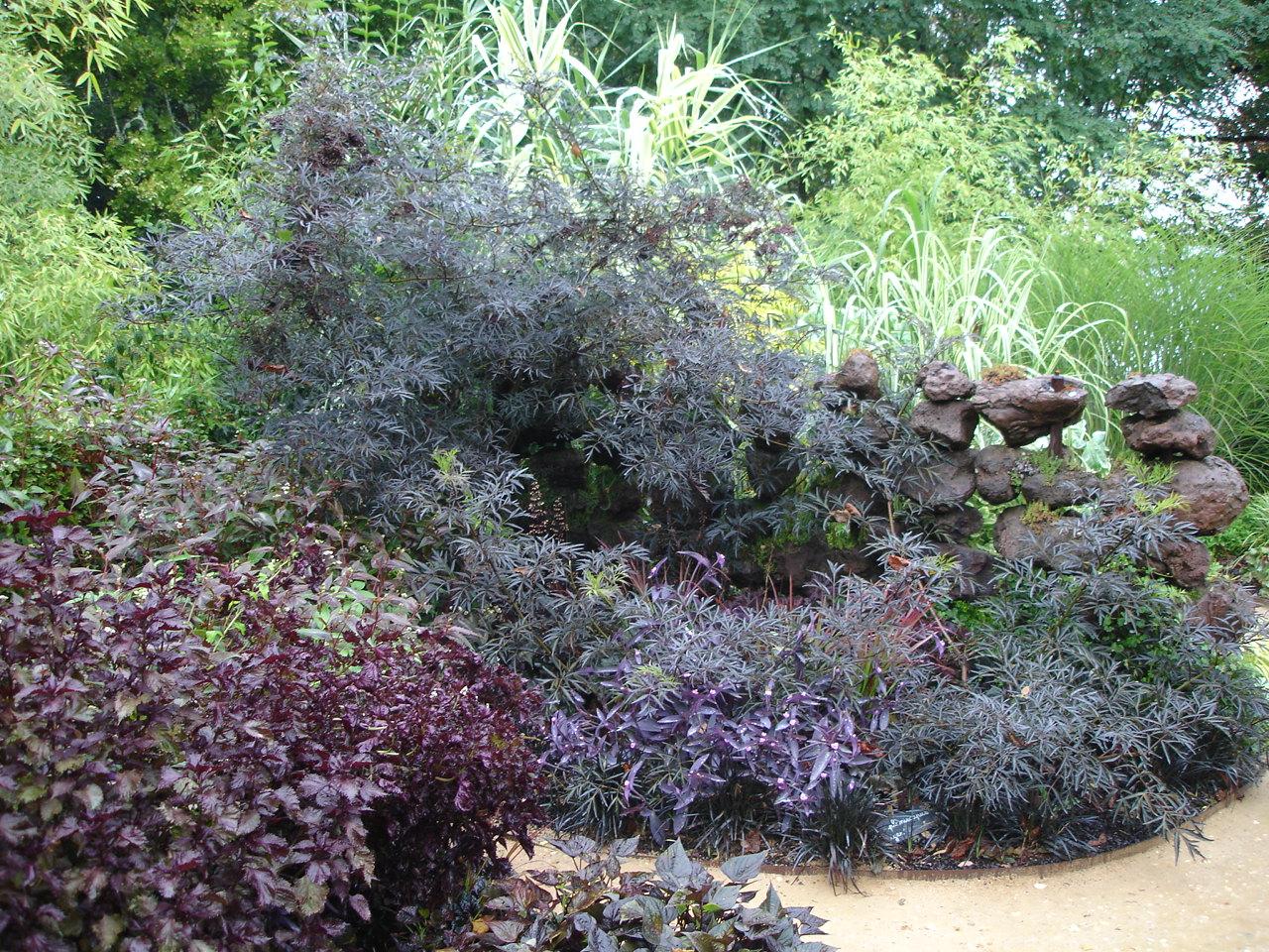 jardin noir