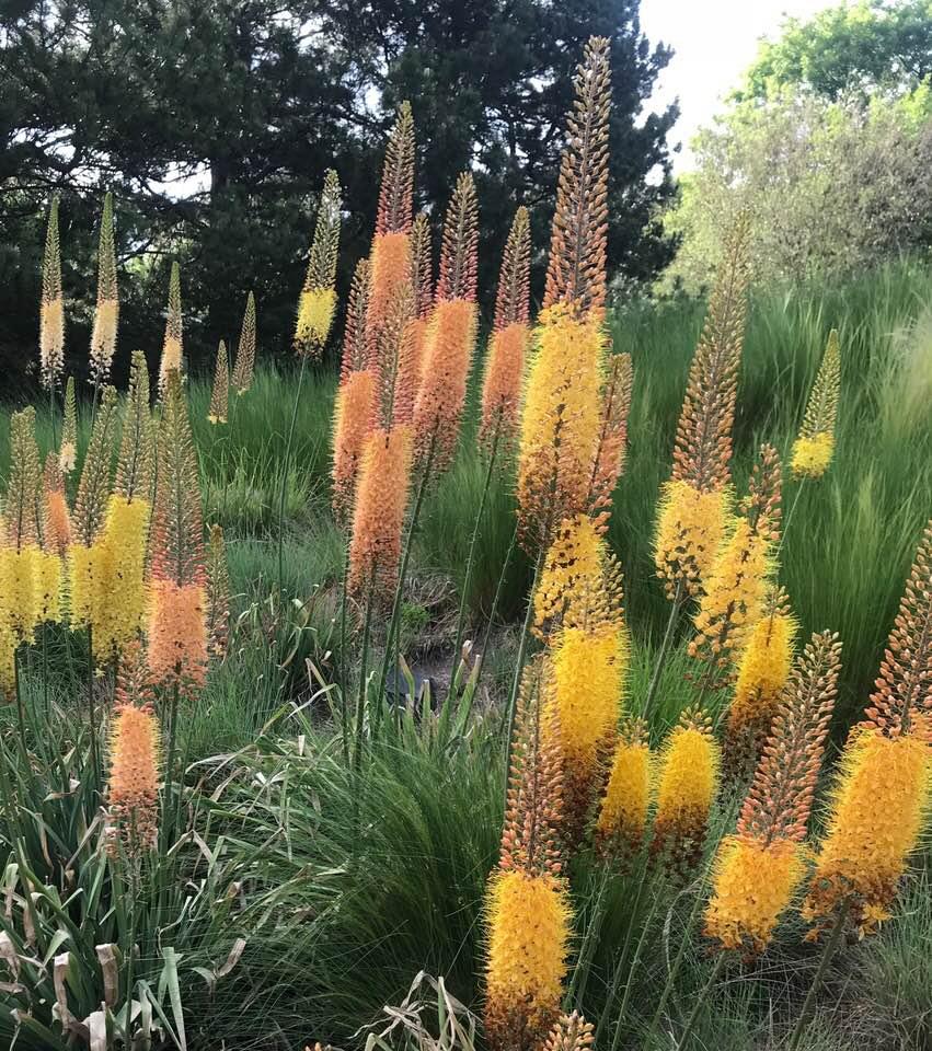 34963670 10213616267978864 4351322549733294080 n