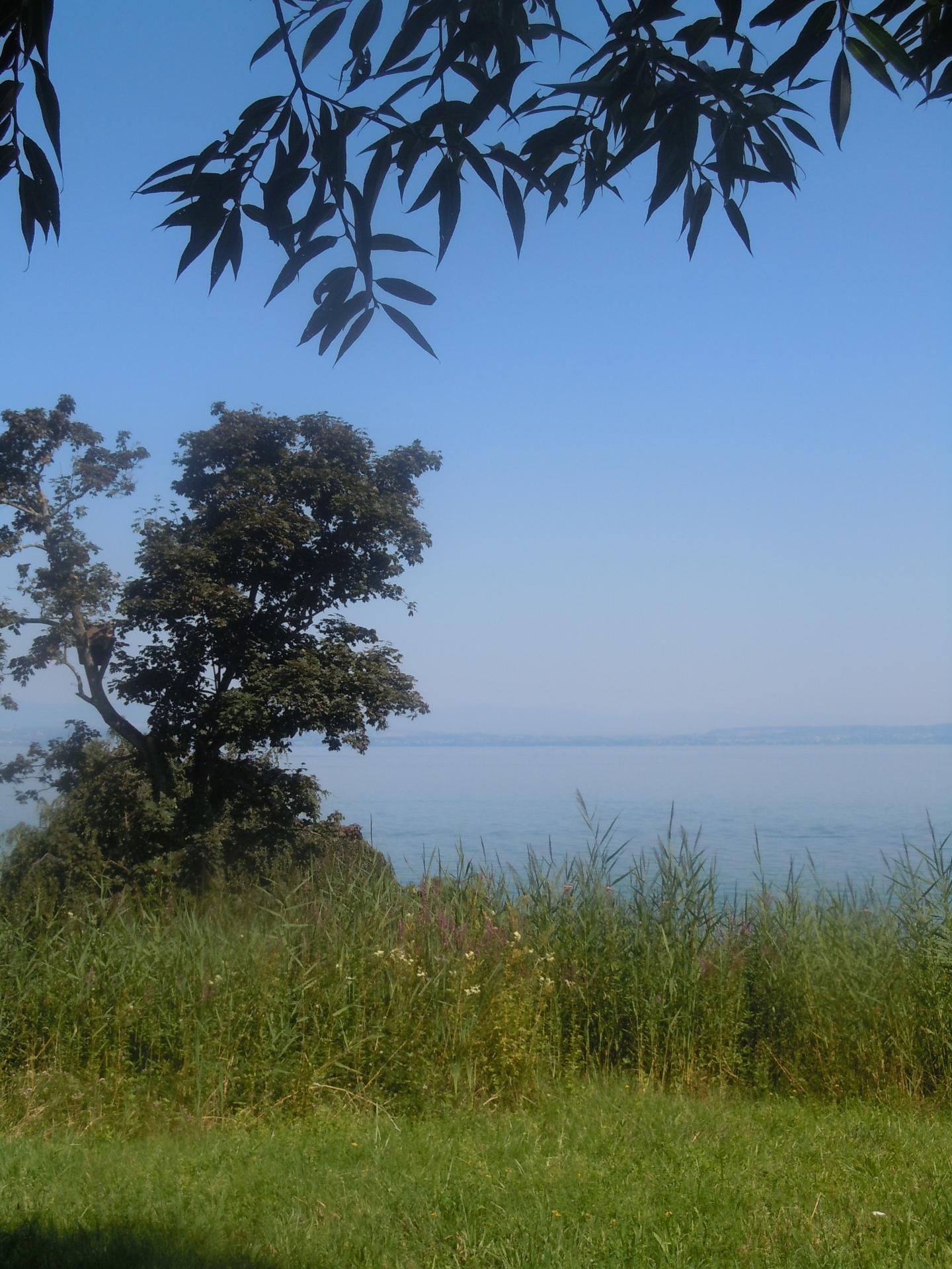 Dscn3106