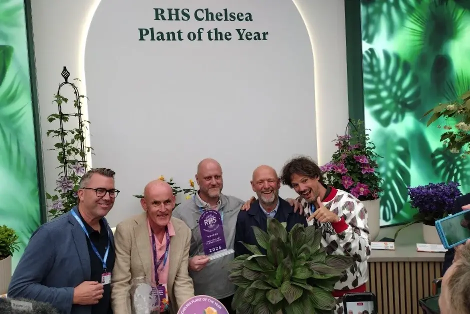 Hosta red ninja plant of the year prizewinners 2026