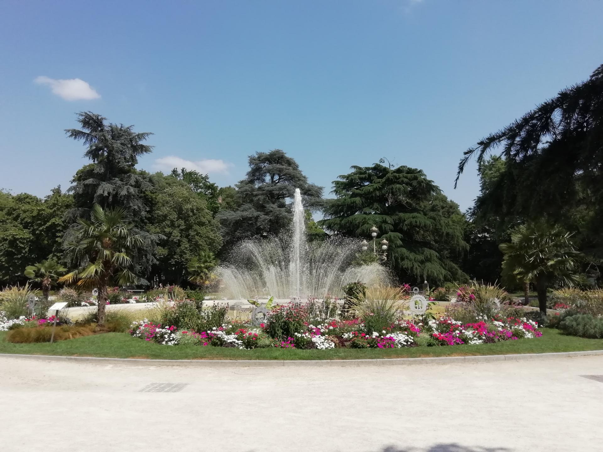 Img 20250704 154653