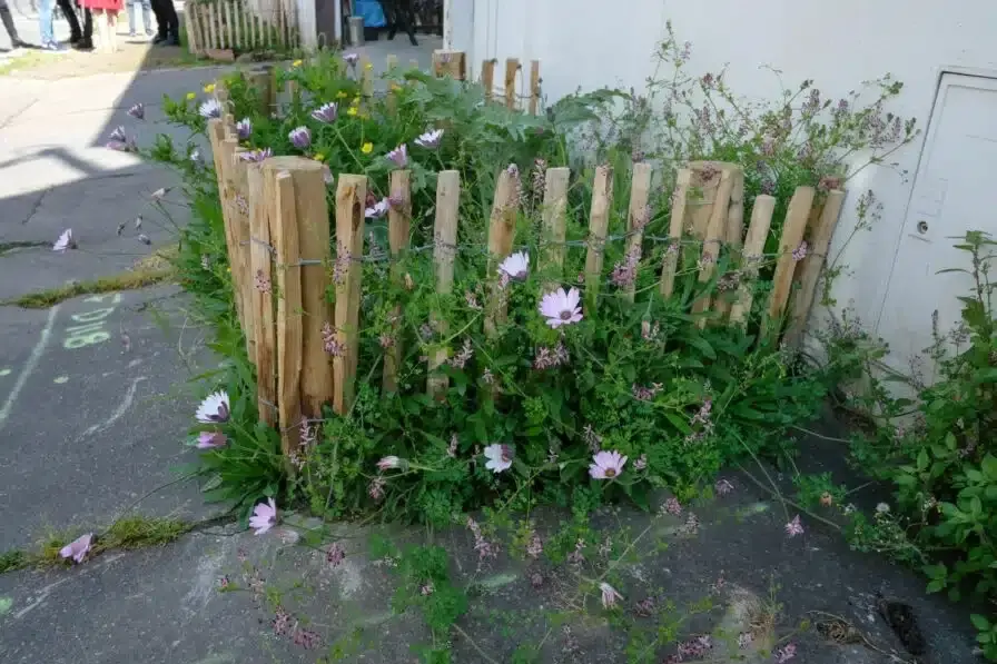 Ma rue est un jardin scaled 896x597 jpg